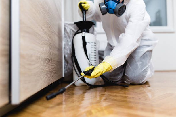 Best Residential Pest Control  in Kirkwood, MO