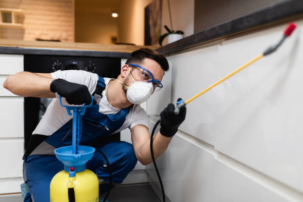 Best Best Pest Control Companies  in Kirkwood, MO