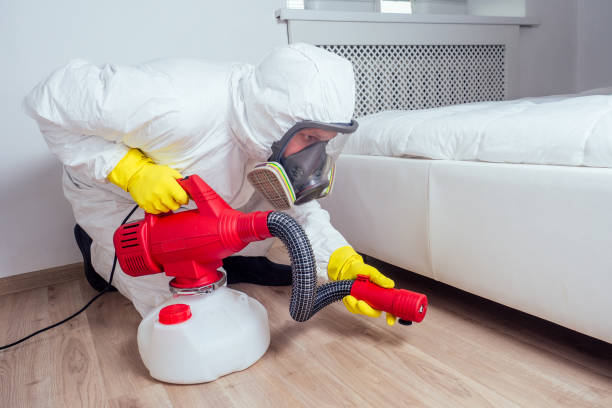 Professional Pest Control in Kirkwood, MO