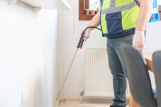 Best Pest Control Near Me  in Kirkwood, MO