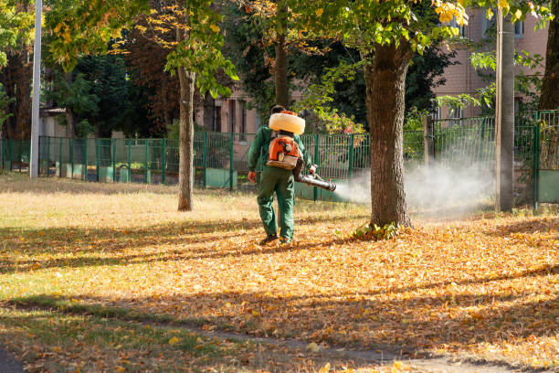 Best Best Pest Control Companies  in Kirkwood, MO