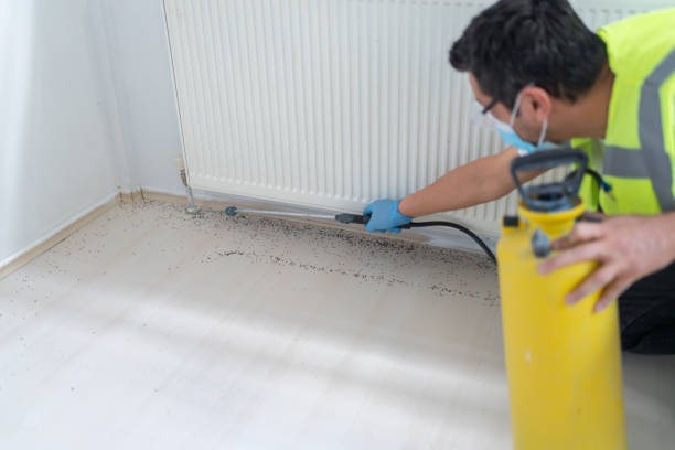 Best Best Pest Control Near Me  in Kirkwood, MO